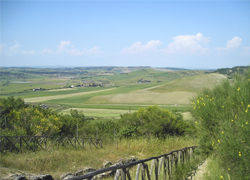 Colline laziali