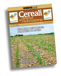 Supplemento Cereali