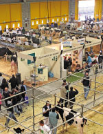 Fiera di Cremona bovino da latte