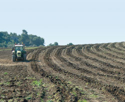 efficienza in campo con l'agricoltura di precisione