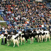 Speciale Fiera del Bovino da Latte