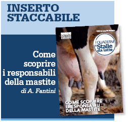 Inserto staccabile