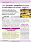 Uva da Tavola - articolo 2
