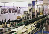 olio extravergine - Informatore Agrario