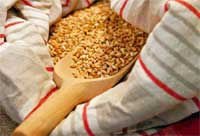Cereali minori, L'Informatore Agrario