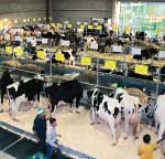 Fiera di Cremona, L'Informatore Agrario