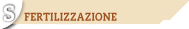 Stoccaggio e post-raccolta