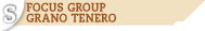 focus group grano tenero