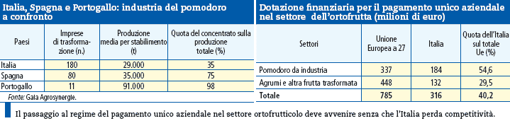 tabella ortofrutta Informatore agrario