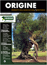 Origine - prodotti dell'Agricoltura e territorio