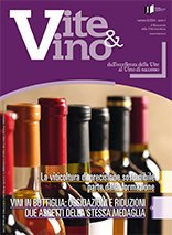 Vite & Vino