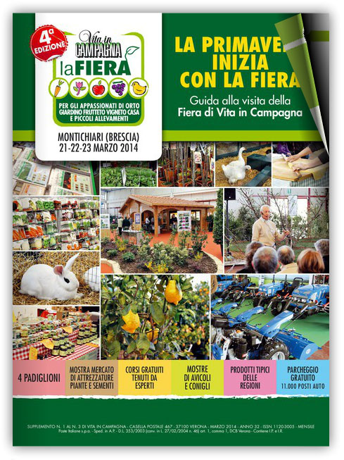 anteprima Guida