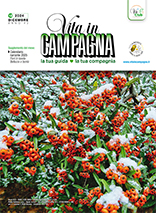 Vita in campagna  mensile