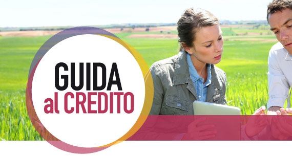 Guida accesso al credito